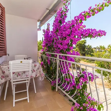 Apartament Ana *