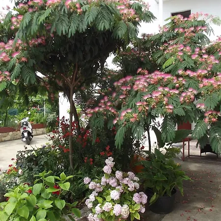 Ana * Biograd Na Moru