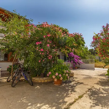 Apartman Ana